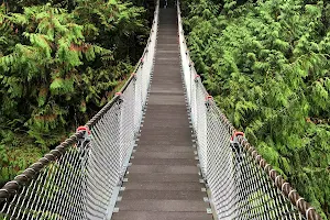 Twin Falls Bridge image