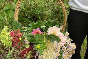 Bloemenbos bloemenpluktuin image