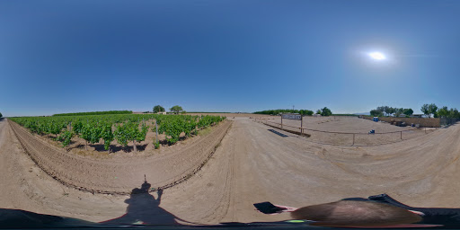 Winery «La Vina Winery, Inc.», reviews and photos, 4201 NM-28, Anthony, NM 88021, USA