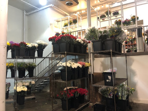 Florist «Kremp Florist», reviews and photos, 220 Davisville Rd, Willow Grove, PA 19090, USA