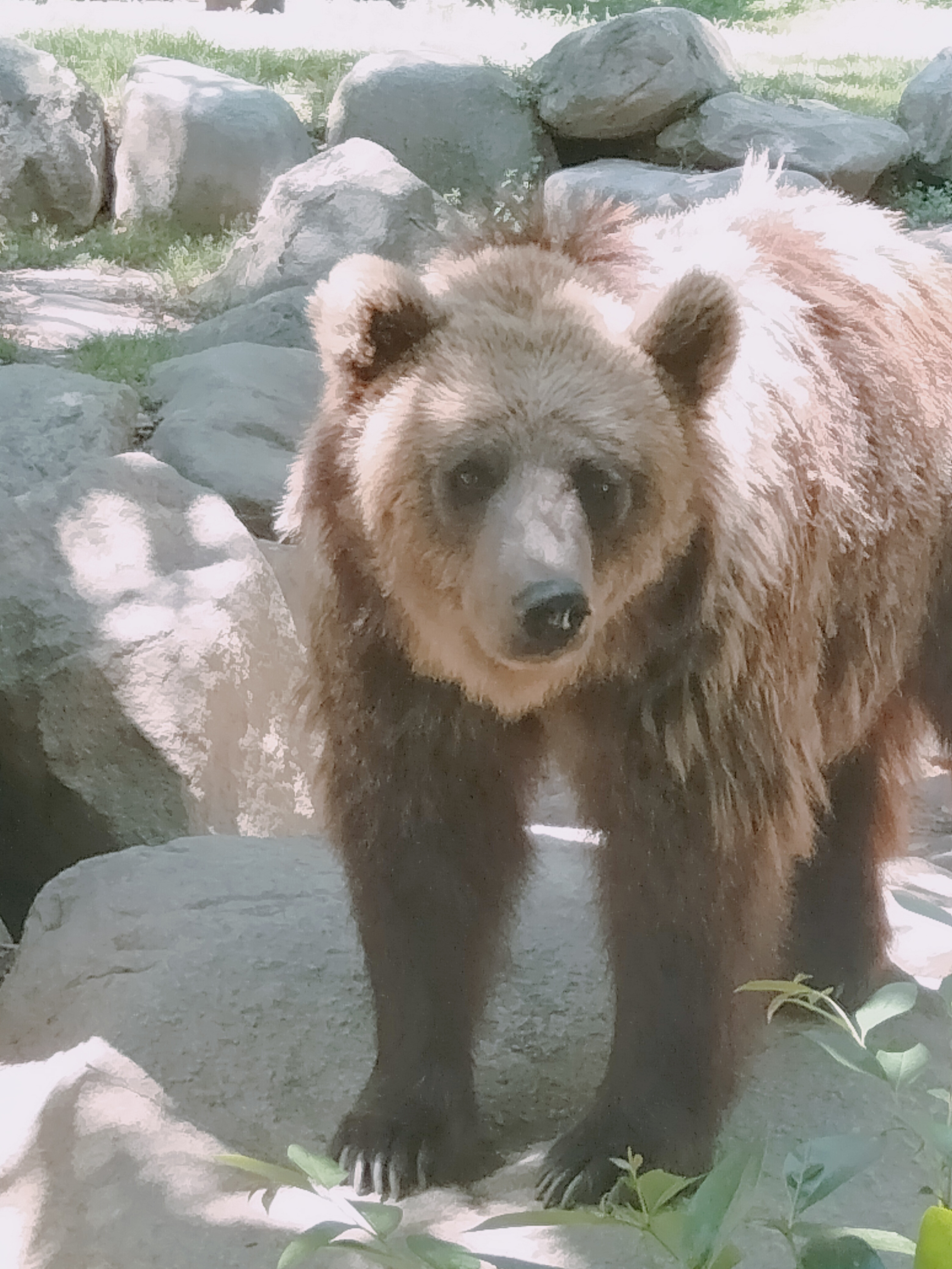 Photo n° 4 de l'avis de Aurélie.e fait le 14/07/2023 à 18:20