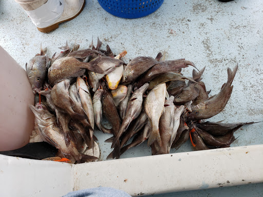 Fishing Charter «Miss Virginia Deep Sea Fishing», reviews and photos, 7847 Bayview St, Port Richey, FL 34668, USA