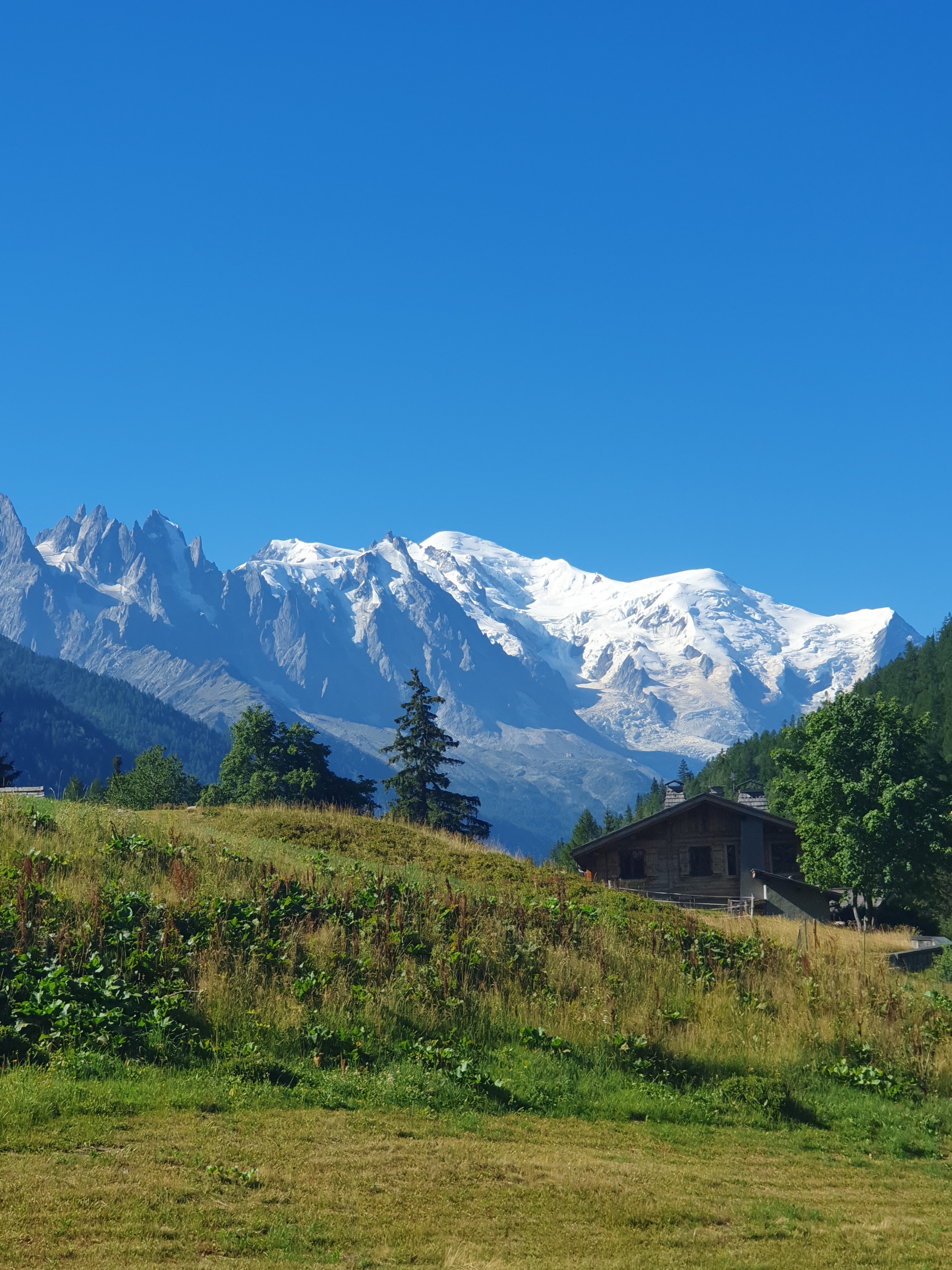 Photo n° 6 de l'avis de alexandra.u fait le 19/08/2022 à 14:22