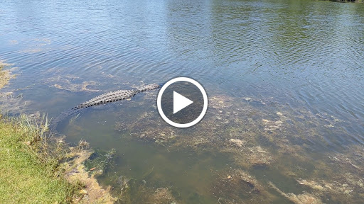 Private Golf Course «Sea Island Golf Course», reviews and photos, 100 Retreat Avenue, Saint Simons Island, GA 31522, USA