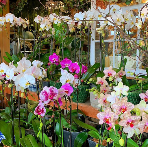 Florist «Arts & Flowers Inc», reviews and photos, 6011 Excelsior Blvd, Minneapolis, MN 55416, USA