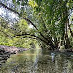 Photo n°1 de l'avis de FrameXs.u fait le 14/05/2024 à 12:30 sur le  Ristorante Bar Alla Letizia Sul Volturno à Sant'Eusanio