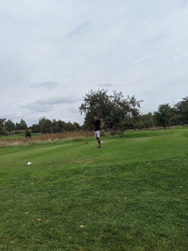 Golf Club «Moss Ridge Golf Club», reviews and photos, 13545 Apple Ave, Ravenna, MI 49451, USA