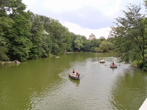 Art Museum «The Metropolitan Museum of Art», reviews and photos, 1000 5th Ave, New York, NY 10028, USA