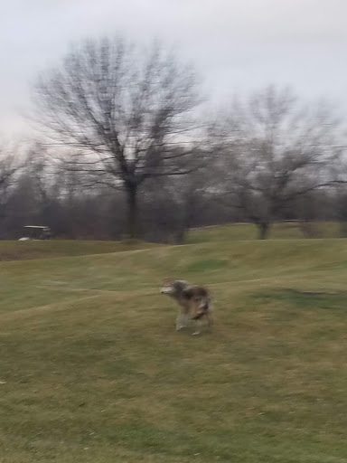 Golf Course «Stony Creek Golf Course», reviews and photos, 5850 W 103rd St, Oak Lawn, IL 60453, USA