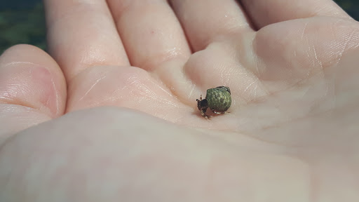 Park «New Brighton Park», reviews and photos, 3201 New Brighton Rd, Arden Hills, MN 55112, USA