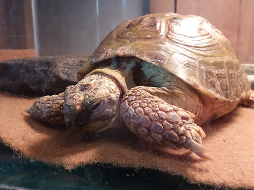 Nature Preserve «Bartlett Nature Center», reviews and photos, 2054 W Stearns Rd, Bartlett, IL 60103, USA