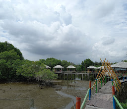 Ekowisata Mangrove Sicanang photo