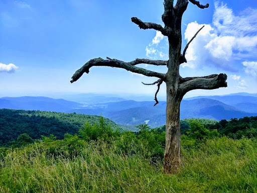 National Park «Shenandoah National Park», reviews and photos