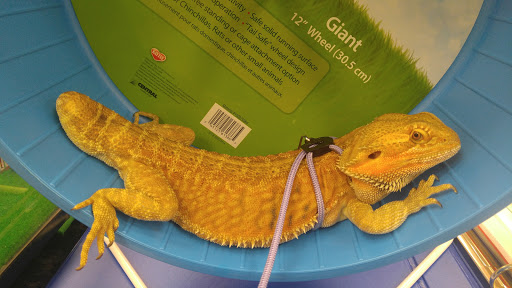 Pet Supply Store «Pet Supermarket», reviews and photos, 7070 College Pkwy, Fort Myers, FL 33907, USA