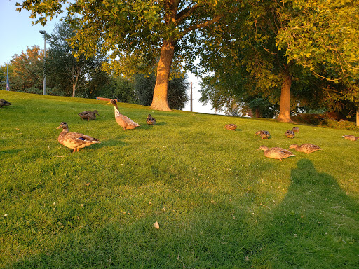 Bowling Alley «Chelan Lanes», reviews and photos, 518 W Manson Hwy, Chelan, WA 98816, USA