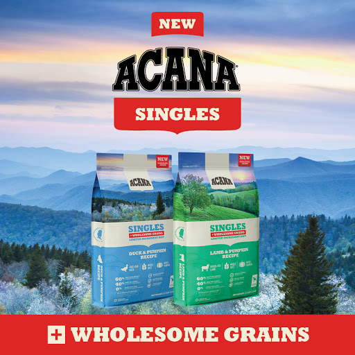 Pet Store «The Pet Place», reviews and photos, 240 Shadowline Dr, Boone, NC 28607, USA