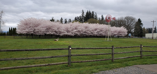 Bed & Breakfast «Scappoose Creek Inn», reviews and photos, 53758 W Lane Rd, Scappoose, OR 97056, USA