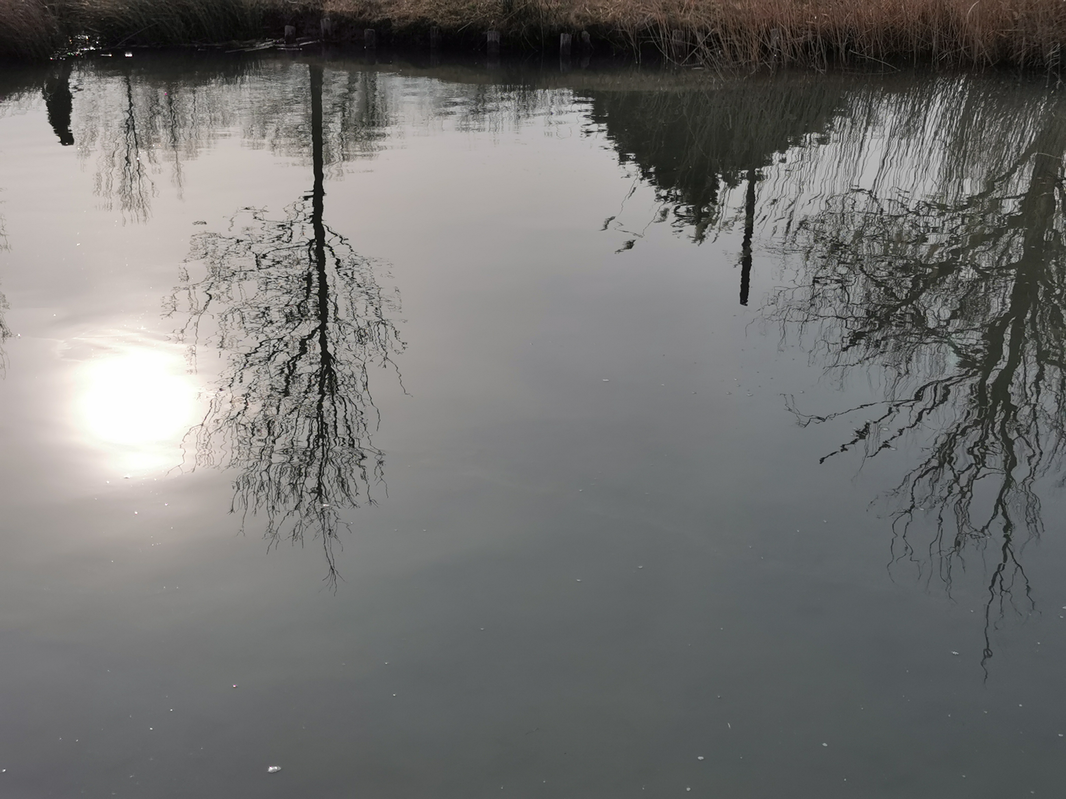 Photo n° 1 de l'avis de Jacques.o fait le 12/03/2022 à 14:17