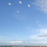 Photo n°3 de l'avis de Claudio.o fait le 08/12/2020 à 17:53 sur le  La Fattoria di Valentino à Frattocchie
