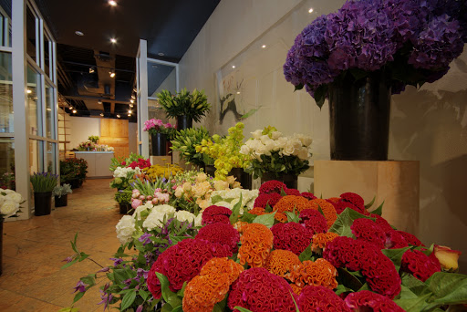 Florist «Allan Woods Flowers», reviews and photos, 2645 Connecticut Ave NW, Washington, DC 20008, USA