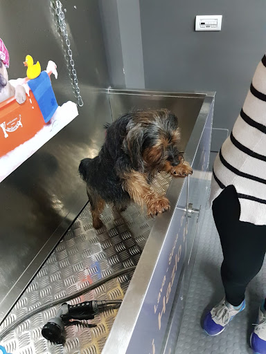 Kanlimpo, Peluquería, Autolavado, Lavandería Animal en Noia, A Coruña