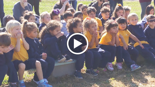 Produce Market «Solly Brothers», reviews and photos, 707 Almshouse Rd, Warminster, PA 18974, USA