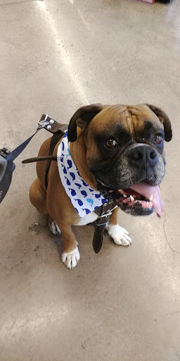 Pet Supply Store «Pet Supplies Plus», reviews and photos, 2600 McFarland Blvd E U, Tuscaloosa, AL 35405, USA