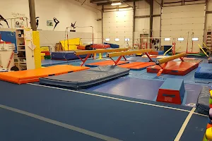 Woolwich Gymnastics Club Inc image