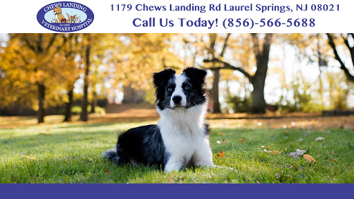 1179 Chews Landing Rd, Laurel Springs, NJ 08021, USA