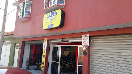 Silver Gym - C. Independencia 2055, Independencia, 78330 San Luis, S.L.P., Mexico