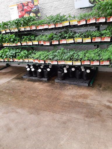 Department Store «Walmart Supercenter», reviews and photos, 6102 FM3009, Schertz, TX 78154, USA