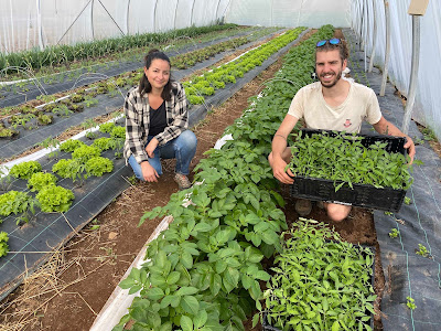 Le potager de Loliva à Montchaboud