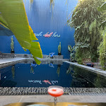 Photo n°1 de l'avis de Teylour.u fait le 05/10/2023 à 19:04 sur le  HOTEL HOTEL à Lisbon