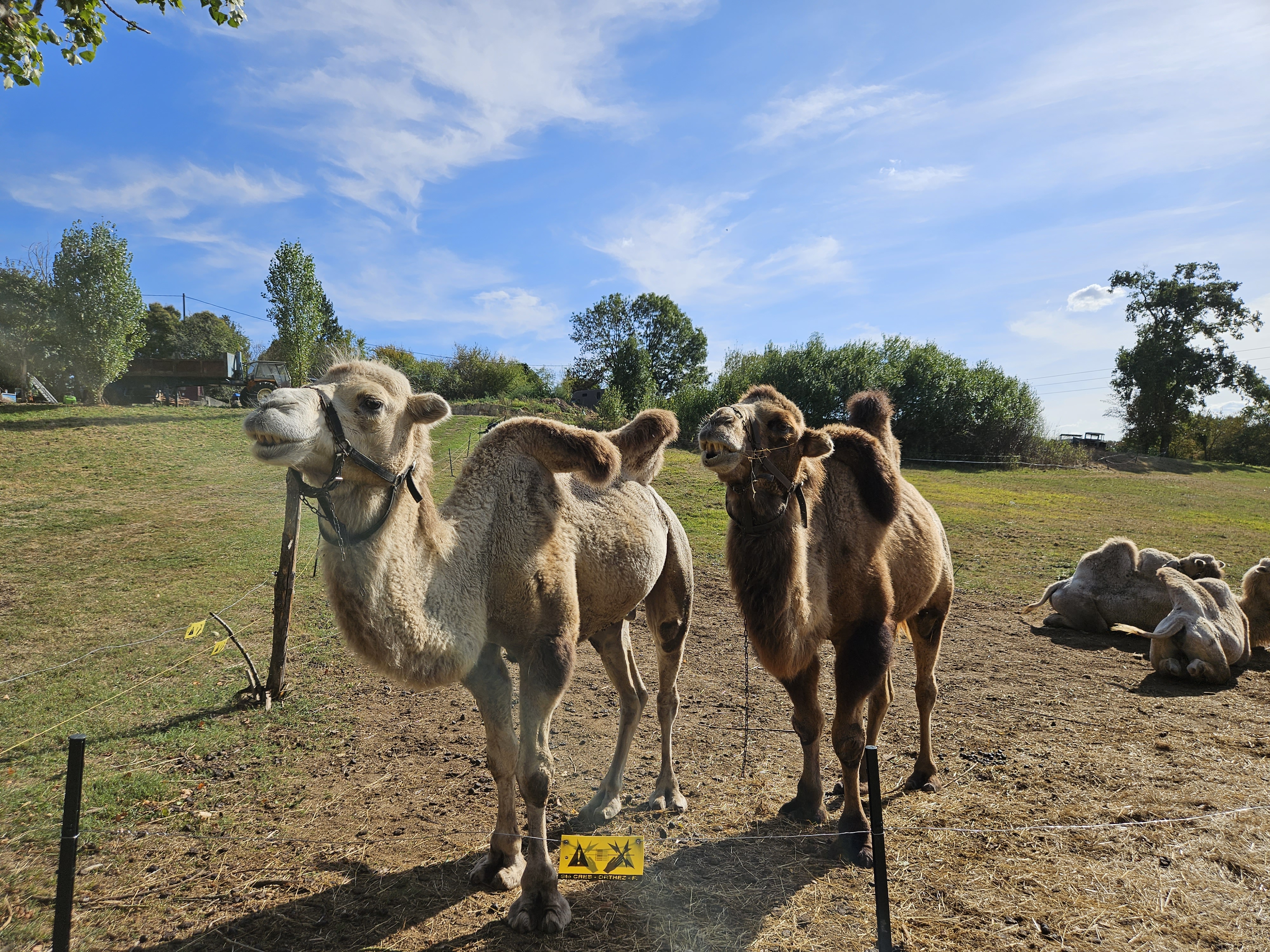 Photo n° 12 de l'avis de Emmanuelle.a fait le 22/09/2023 à 14:59