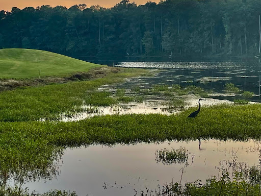 Golf Club «Oak Hills Golf Club», reviews and photos, 7629 Fairfield Rd, Columbia, SC 29203, USA