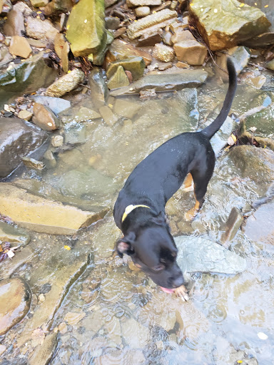 Tourist Attraction «Mill Creek Falls», reviews and photos, Mill Creek Trail, Cleveland, OH 44105, USA