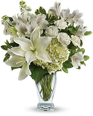 Florist «Aspen Hill Florist», reviews and photos, 3833 Aspen Hill Rd, Silver Spring, MD 20906, USA