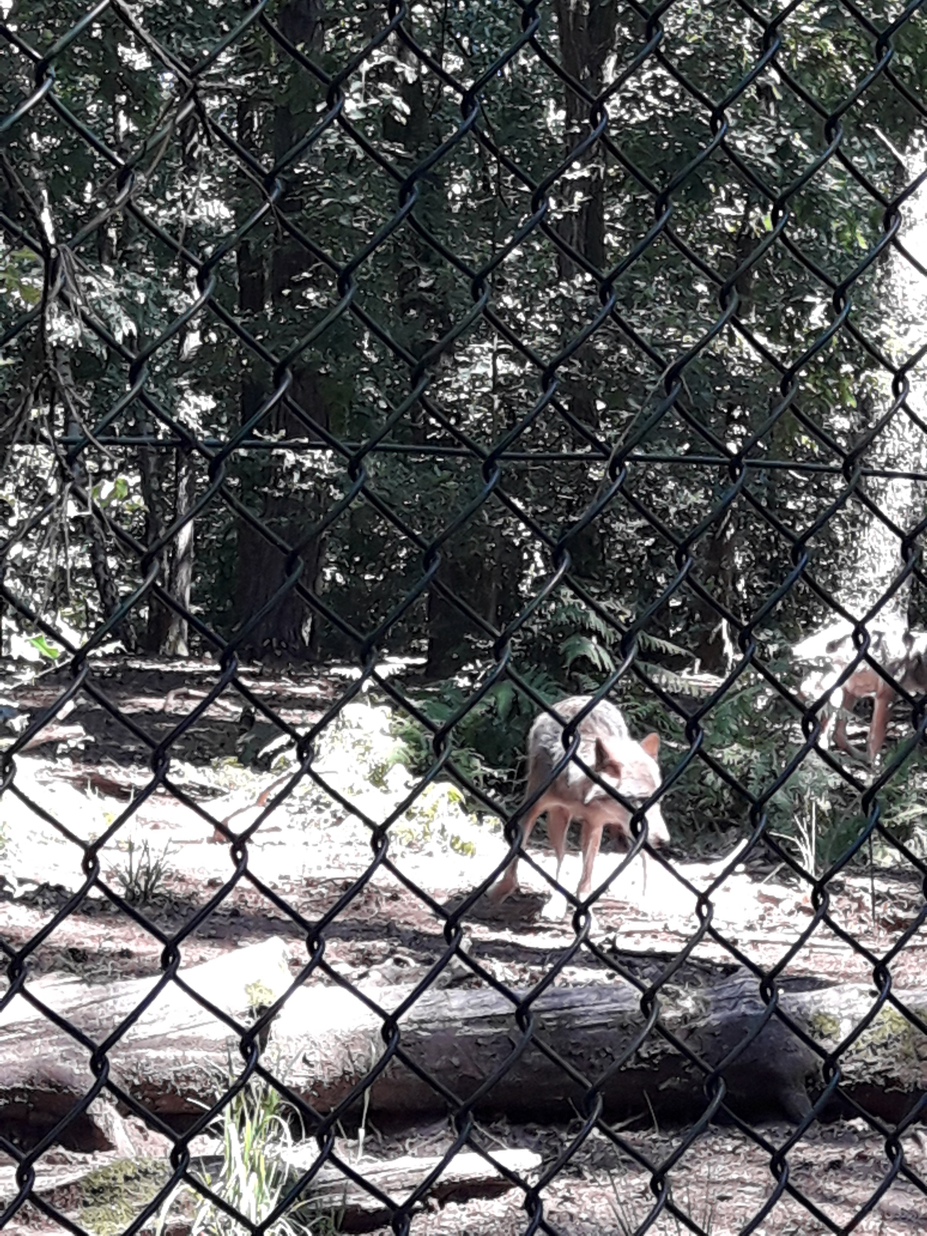 Photo n° 9 de l'avis de Christophe.l fait le 01/07/2018 à 13:30