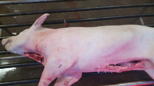 Meat Wholesaler «Lizze Custom Processing», reviews and photos, 7310 Pine Ave, Chino, CA 91708, USA