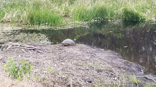 Golf Course «Willowbrook Golf Course», reviews and photos, 4200 FL-544, Winter Haven, FL 33881, USA