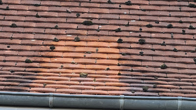 Entreprise Pierrot à Montlouis-sur-Loire