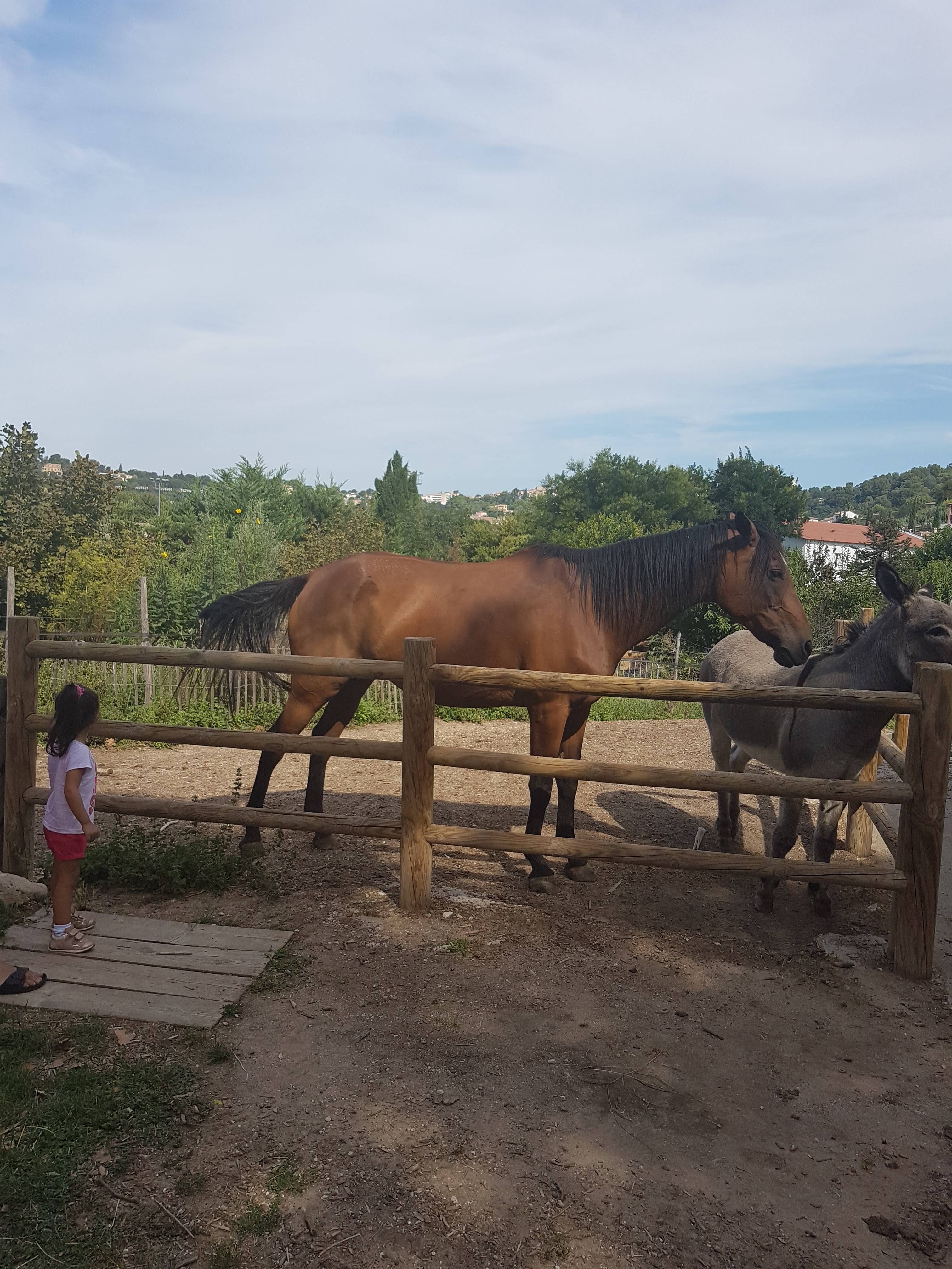Photo n° 1 de l'avis de Alice.e fait le 04/10/2018 à 13:11