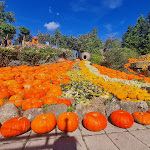 Photo n°2 de l'avis de Ma.a fait le 02/10/2023 à 18:20 sur le  Hof Löbke GmbH & Co. KG à Ibbenbüren