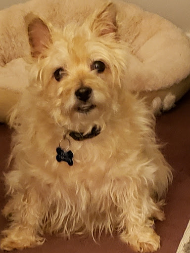 Pet Supply Store «Western Pet Supply», reviews and photos, 6908 SW Beaverton Hillsdale Hwy, Portland, OR 97225, USA