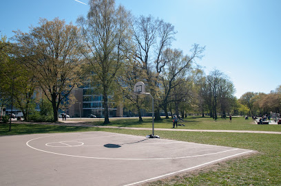 Basketballbane