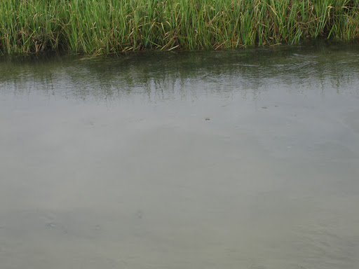 Nature Preserve «James Farm Ecological Preserve», reviews and photos, 30048 Cedar Neck Rd, Ocean View, DE 19970, USA