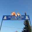 Gebze Sokak Hayvanlari Rehabilitasyon Merkezi