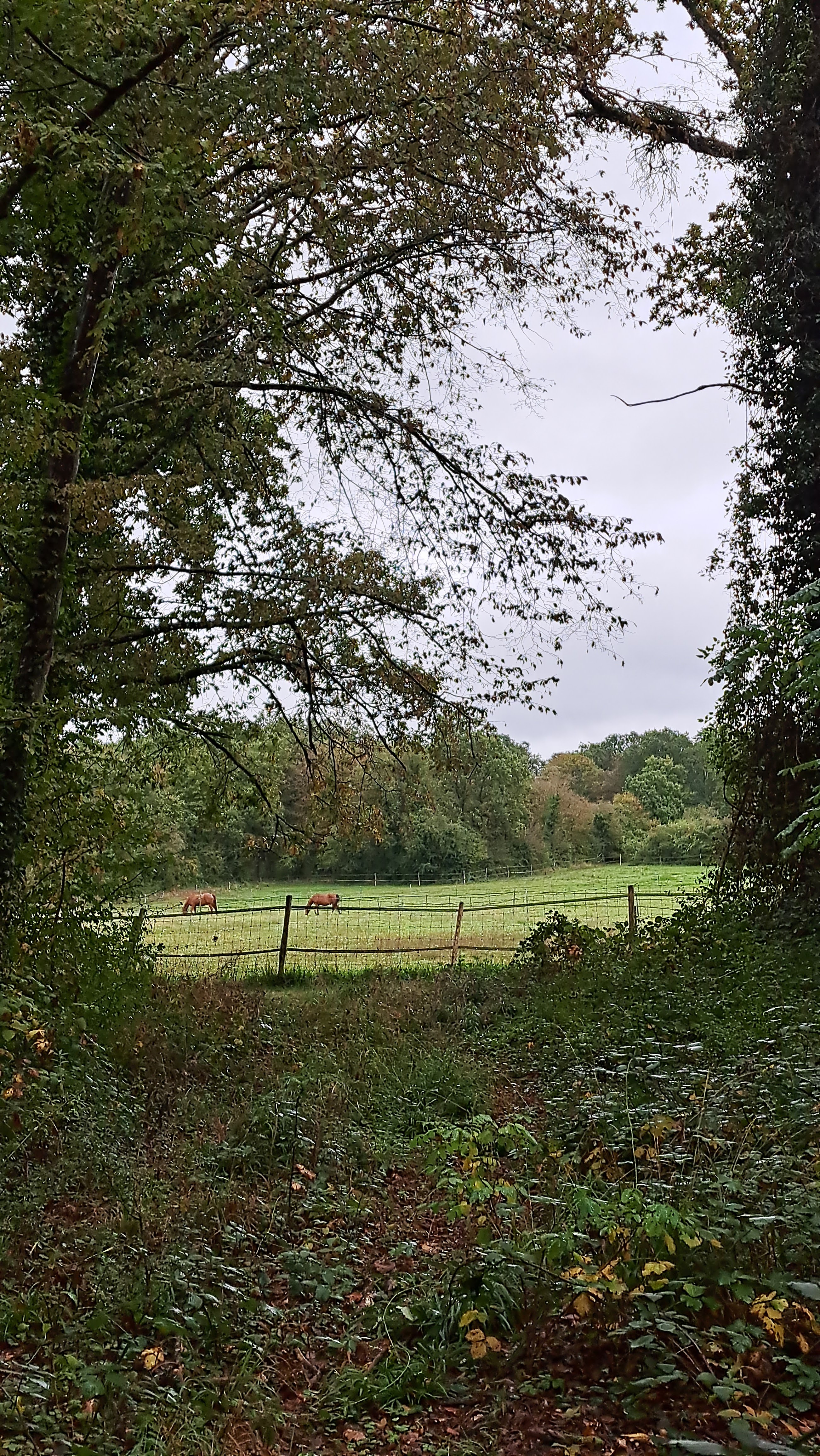 Photo n° 4 de l'avis de Shania.n fait le 20/10/2023 à 15:43