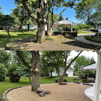 JULIO'S SERVICES LAWN CARE AND SNOW REMOVAL. - Photo 8 - Car repair in Warrenville, IL, Aurora