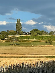 Photo n°11 de Pizza Pirate Au Feu De Bois à Loisin ()